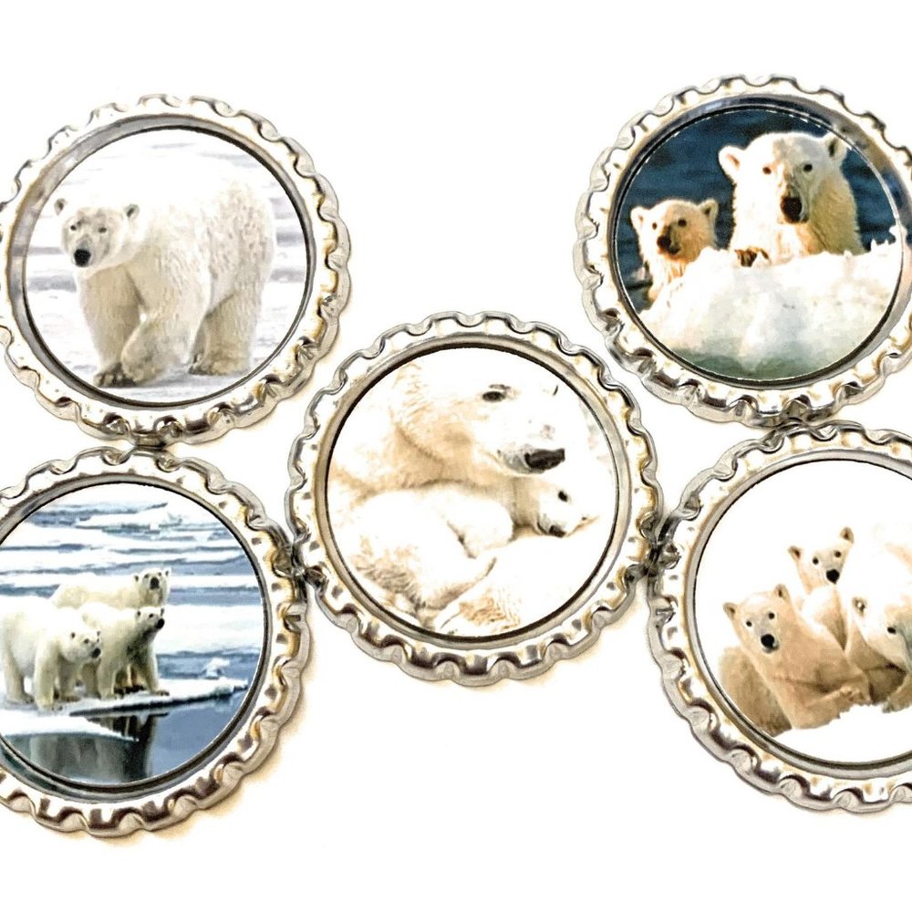 Polar Bears Magnet Set